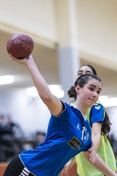 Bild 179 - wBJ TSV Ellerau - HSG Stoertal Hummeln : Ergebnis: 26:19